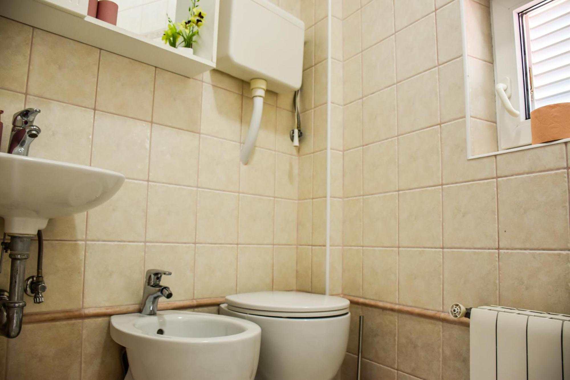 Apartment Zanic 诺维·维诺多尔斯基 外观 照片